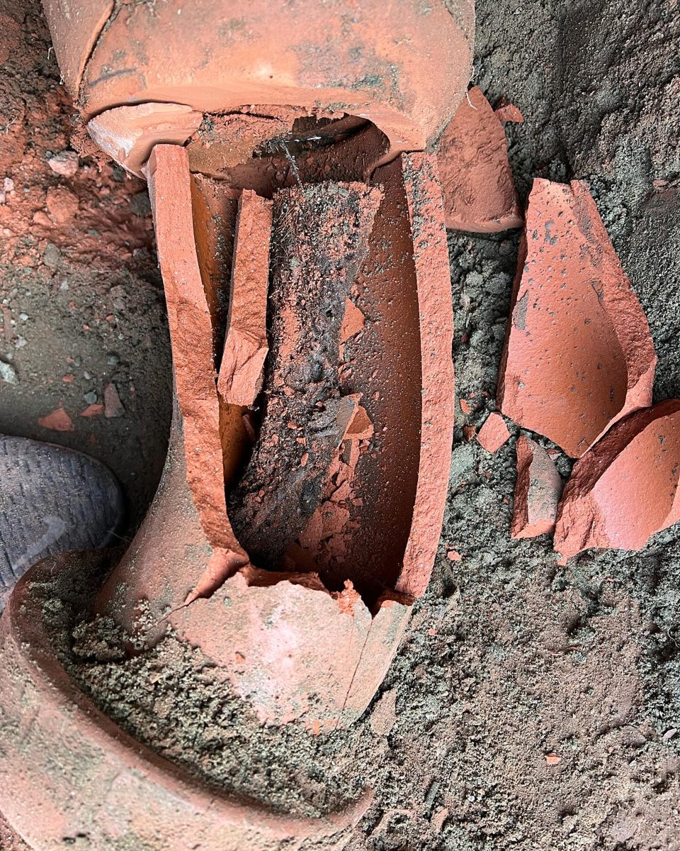Cracked clay sewer line damaged by tree-root infestation, uncovered during a sewer repair